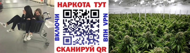 Как найти наркотики Холмск A-PVP  Мефедрон  АМФЕТАМИН  МАРИХУАНА  Гашиш 