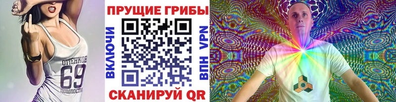 Псилоцибиновые грибы Psilocybe Холмск